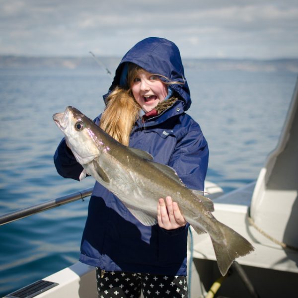 Pollack - Lyme Bay Charters - Fishing Lyme Regis